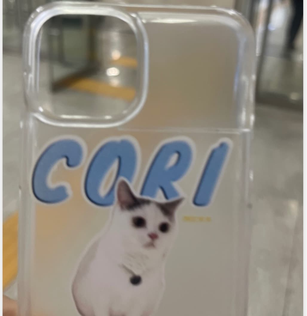 박혜원 리뷰 사진