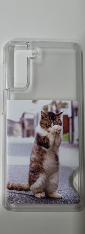 심양갱 리뷰 사진