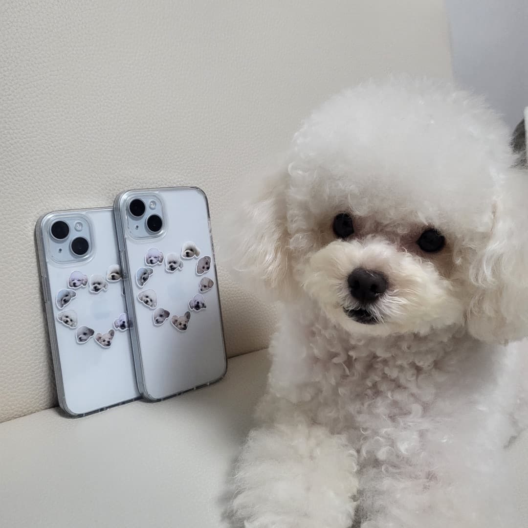시현 리뷰 사진
