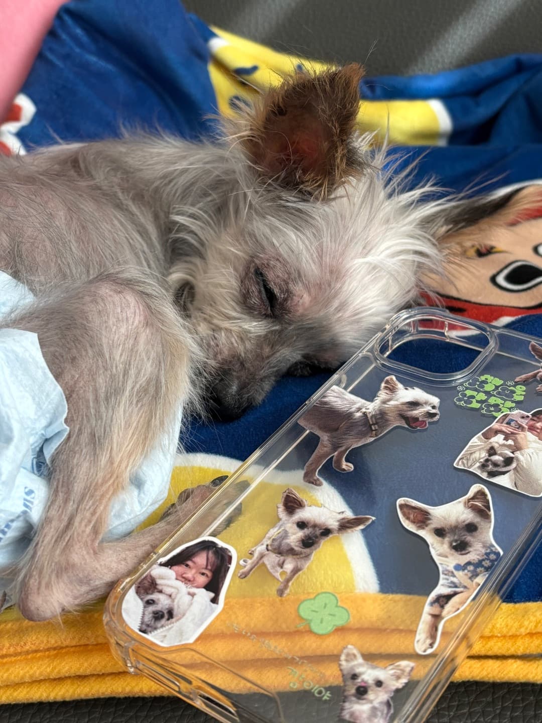 이지혜 리뷰 사진