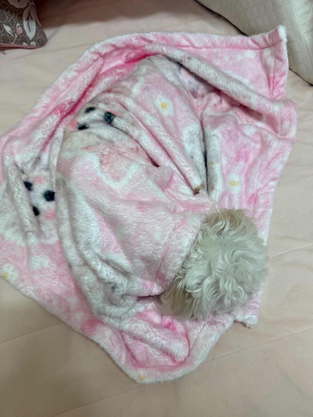 현아 리뷰 사진