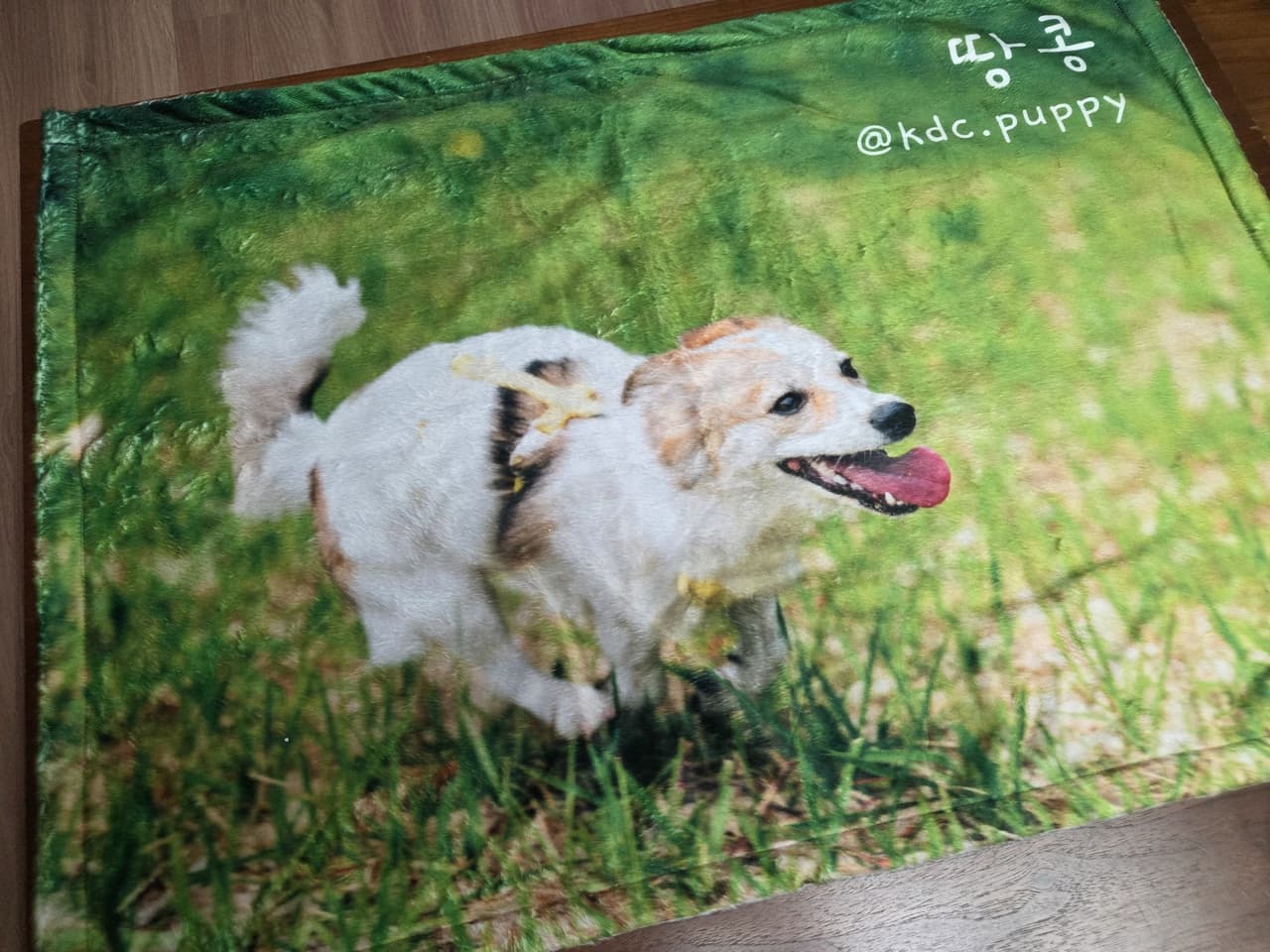 Taewoong Song 리뷰 사진